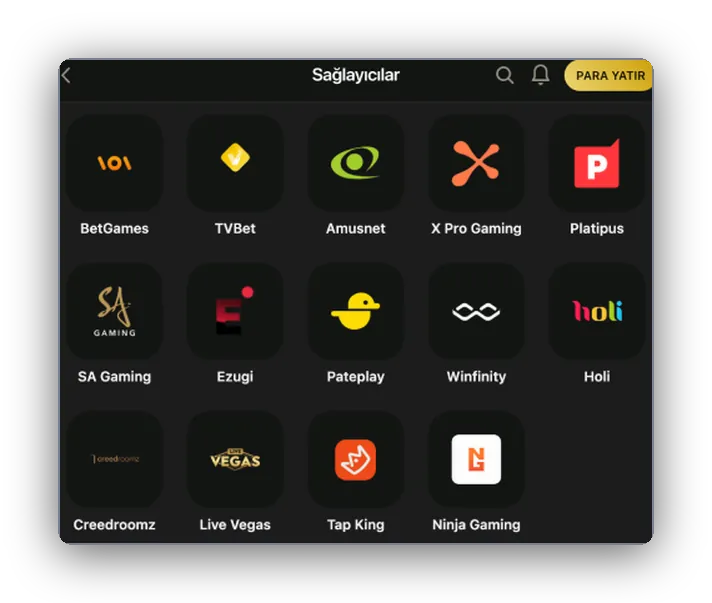 Oyun sağlayıcıları Sağlayıcı ızgarası yakından görünüm: BetGames, Amusnet, Ezugi ve Tap King kutuları
