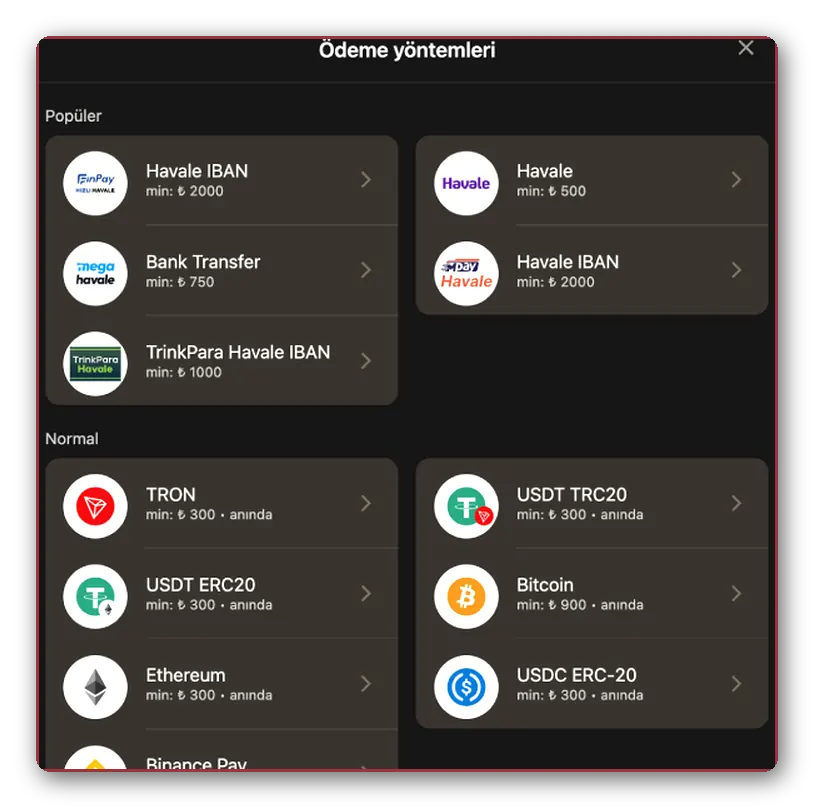 Havale ve kripto ödeme ekranı Ödeme yöntemleri ekranı yakından görünüm: havale ve kripto seçenekleri, yanlarında minimum tutarlar